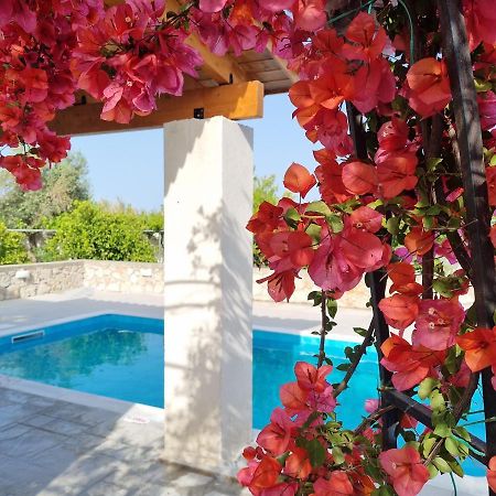 Lianas Garden House Villa Afándu Kültér fotó